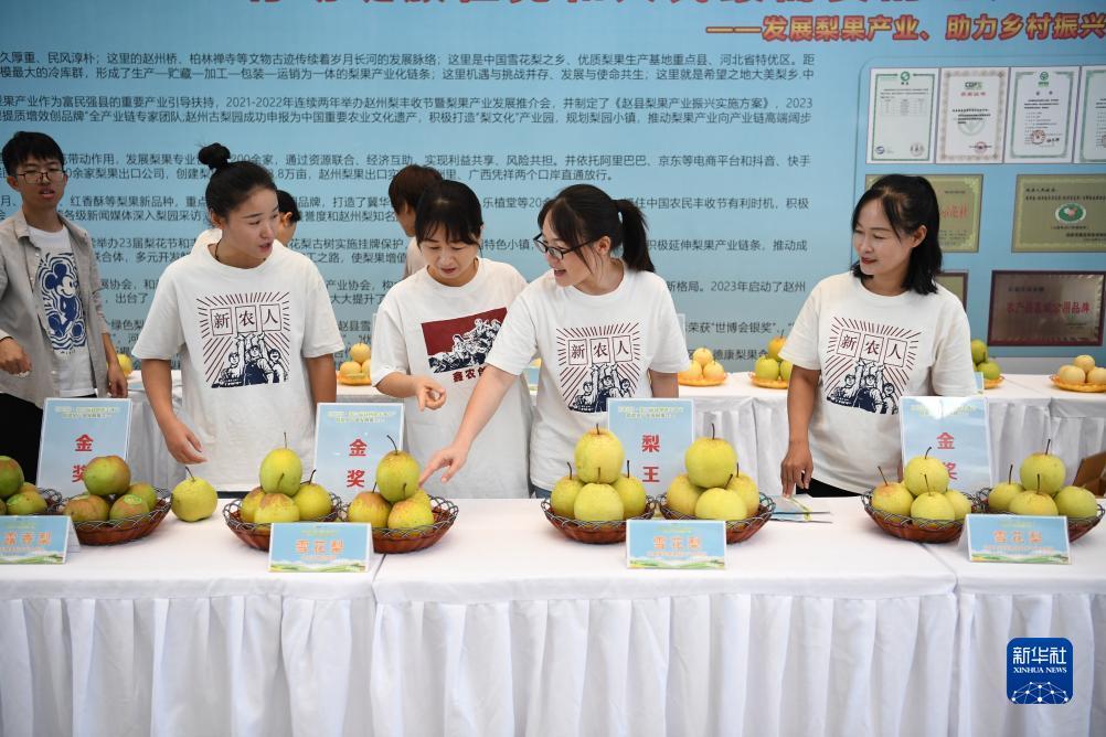 彩金赠送娱乐场